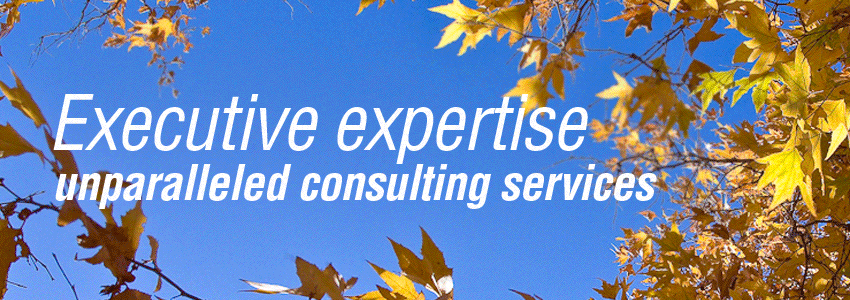 custom consulting services